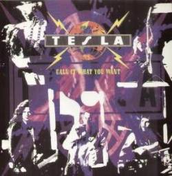 Tesla : Call It What You Want